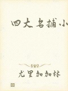 四大名捕小说