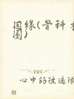 因缘(骨科 校园)