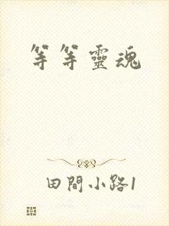 等等灵魂