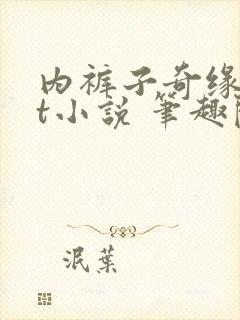 内裤子奇缘txt小说 笔趣阁封面