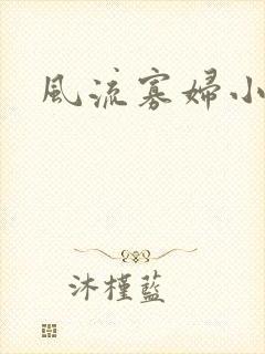 风流寡妇小说