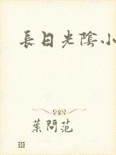 长日光阴小说