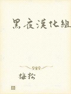 黑夜汉化组