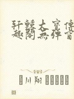 轩辕大宝传奇笔趣阁无弹窗