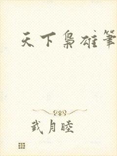 天下枭雄笔趣阁封面