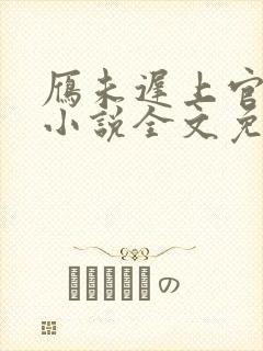 雁未迟上官穿越小说全文免费阅读