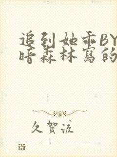 追到她乖BY黑暗森林写的小说