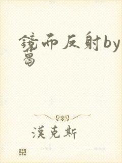 镜面反射by九葛