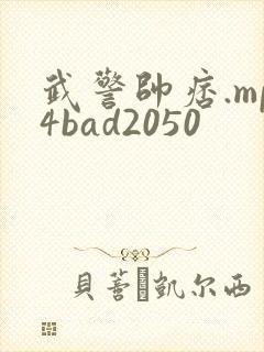 武警帅痞.mp4bad2050封面