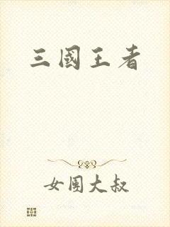 三国王者