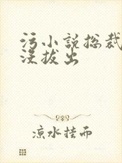 污小说总裁整夜没拔出封面