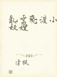 乱云飞渡小说之姣嫂封面