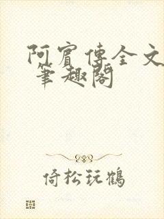 阿宾传全文阅读 笔趣阁封面