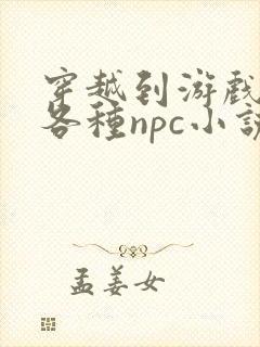 穿越到游戏里和各种npc小说封面