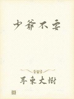 少爷不要