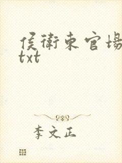 侯卫东官场笔记txt