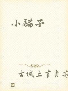 小骗子封面