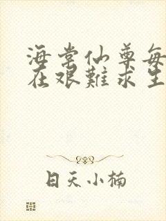 海棠仙尊每天都在艰难求生封面