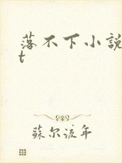 落不下小说txt