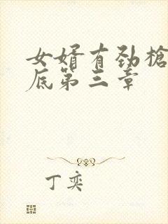女婿有劲枪枪到底第三章