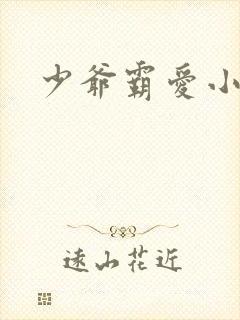 少爷霸爱小丫头