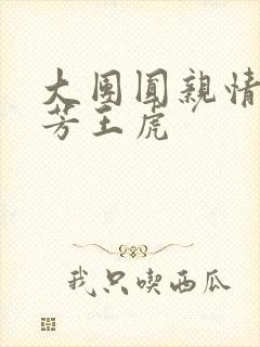 大团圆亲情会王芳王虎封面