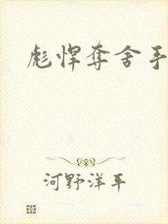 彪悍夺舍手札封面