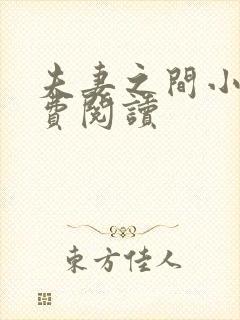 夫妻之间小说免费阅读