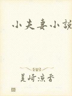 小夫妻小说