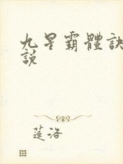 九星霸体诀 小说