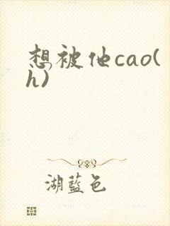 想被他cao(h)封面