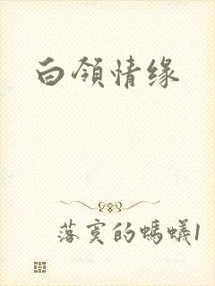 白领情缘