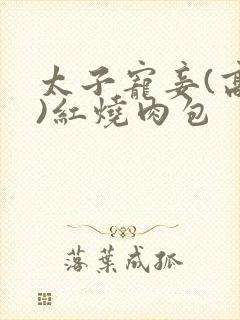 太子宠妾(高肉)红烧肉包封面