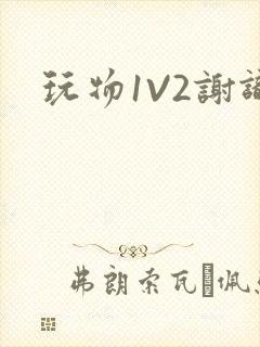 玩物1V2谢识