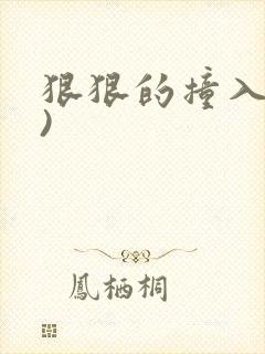 狠狠的撞入(h)