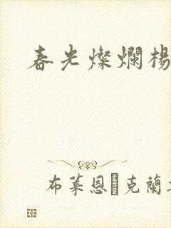 春光灿烂杨家将封面