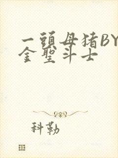 一头母猪BY黄金圣斗士