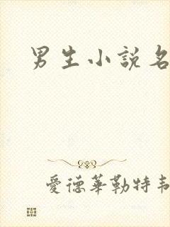 男生小说名字封面