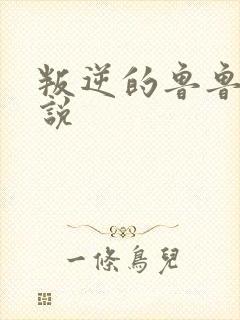 叛逆的鲁鲁修小说