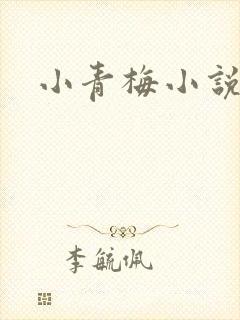 小青梅小说封面