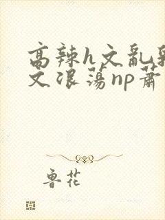 高辣h文乱乳h文浪荡np萧太后