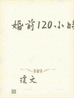 婚前120小时封面