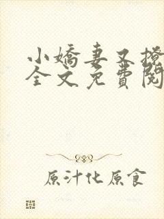 小娇妻又撩又甜全文免费阅读封面