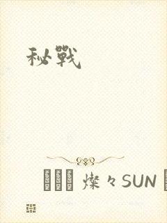 秘战封面