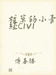 校草的小青梅不经C1V1