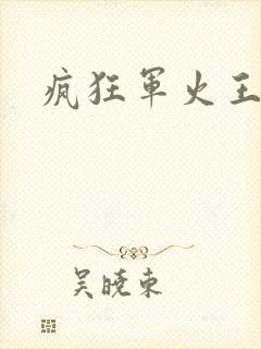 疯狂军火王封面