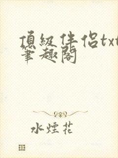 顶级伴侣txt笔趣阁