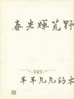 春光辉荒野封面