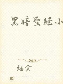 黑暗圣经小说