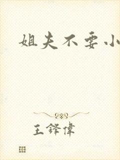 姐夫不要小说
